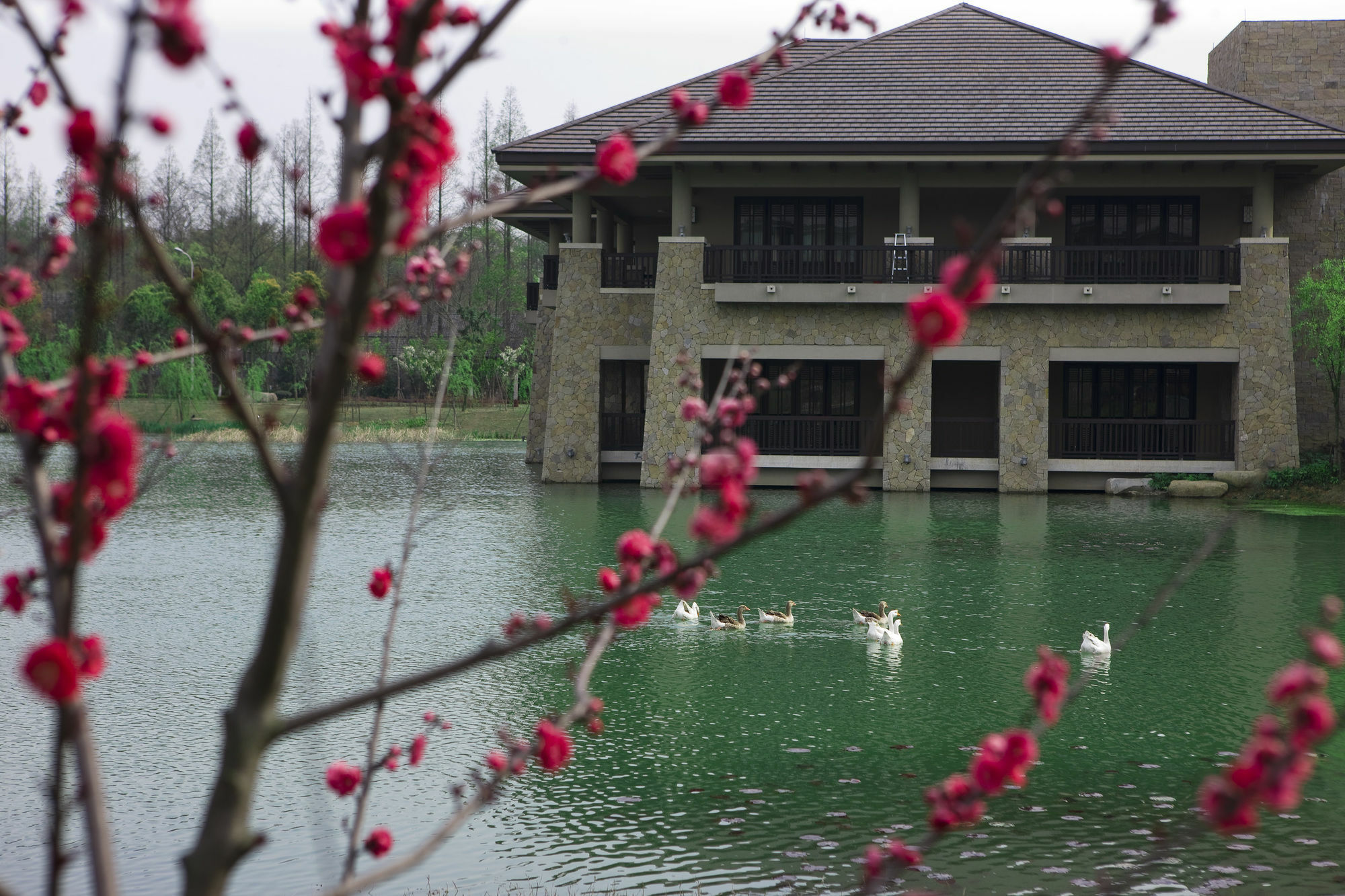 Narada Resort & Spa Liangzhu Ханчжоу Экстерьер фото